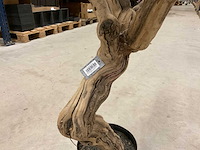 Wisteria kunstboom 160cm - afbeelding 4 van  8