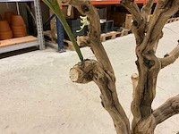 Wisteria kunstboom 160cm - afbeelding 6 van  8