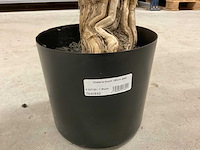 Wisteria kunstboom 160cm - afbeelding 3 van  8