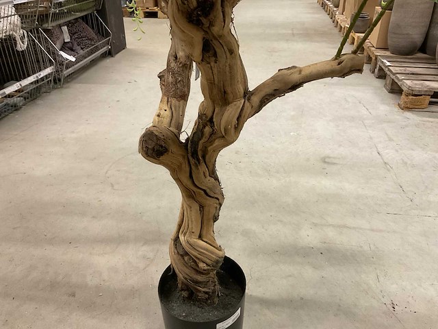 Wisteria kunstboom 160cm - afbeelding 6 van  11