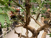 Wisteria kunstboom 160cm - afbeelding 10 van  11