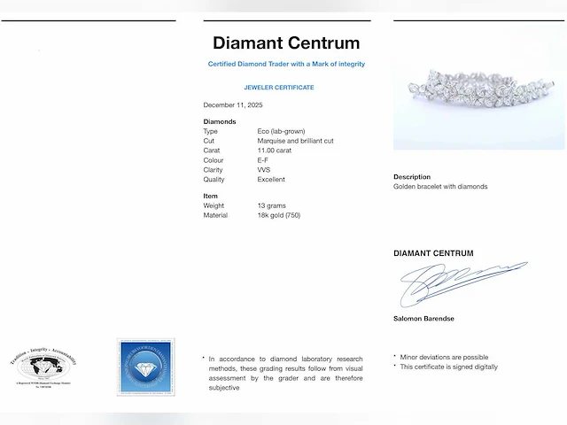 Witgouden armband briljant 11.00 ct - afbeelding 9 van  9