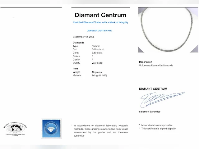 Witgouden collier briljant 5.80 ct - afbeelding 2 van  10