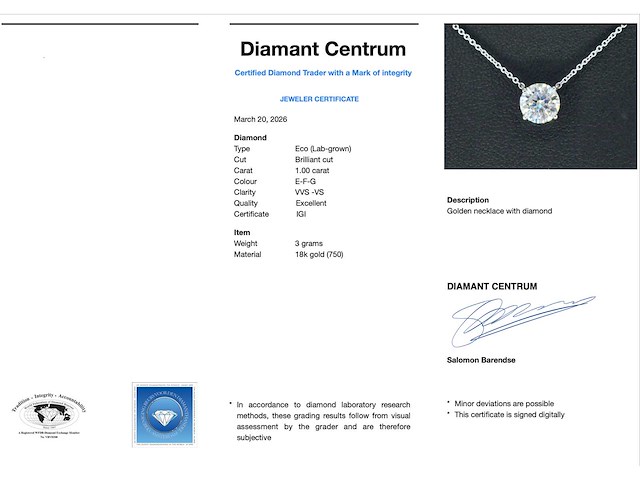 Witgouden collier met diamant 1.00 carat - afbeelding 3 van  6