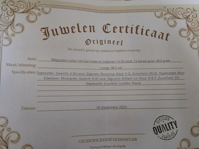 Witgouden collier met diamanten en briljanten 12.50 karaat, 14 karaat wit goud 38,6 gram , 2023 - afbeelding 2 van  2