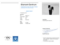 Witgouden creolen met twee rijen diamanten - afbeelding 3 van  8