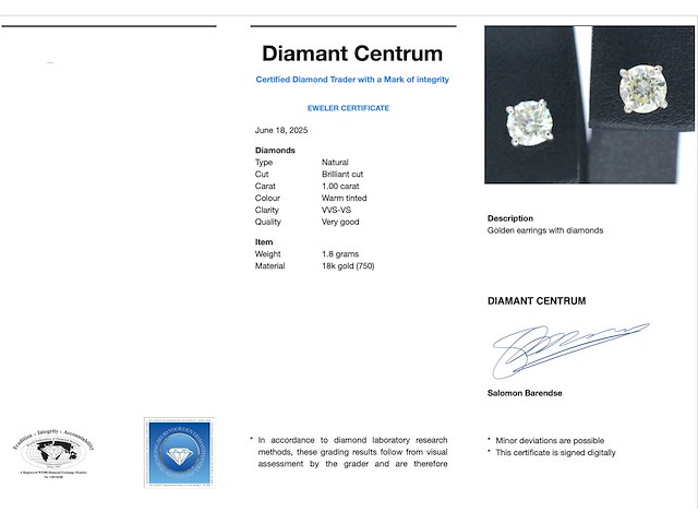 Witgouden diamanten oorbellen 1.00 carat - afbeelding 4 van  10