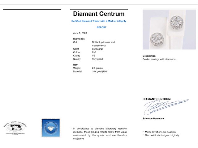 Witgouden diamanten oorbellen met rand van briljanten - afbeelding 3 van  8
