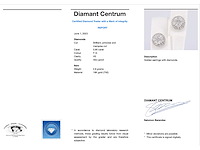 Witgouden diamanten oorbellen met rand van briljanten - afbeelding 3 van  8