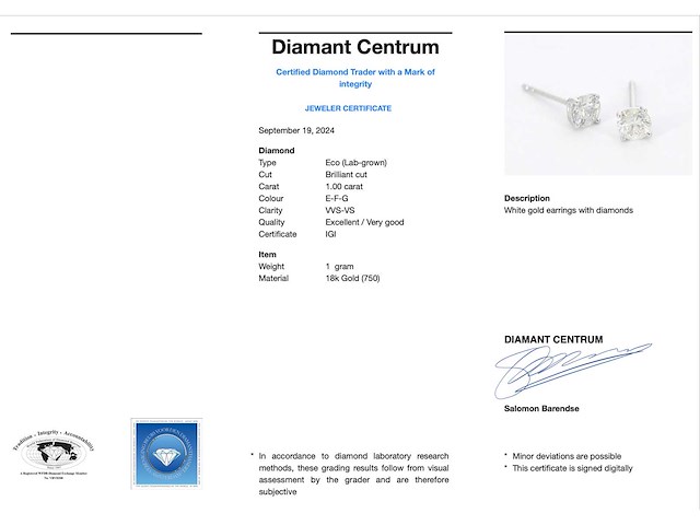 Witgouden diamanten oorbellen van 1.00 carat - afbeelding 3 van  8