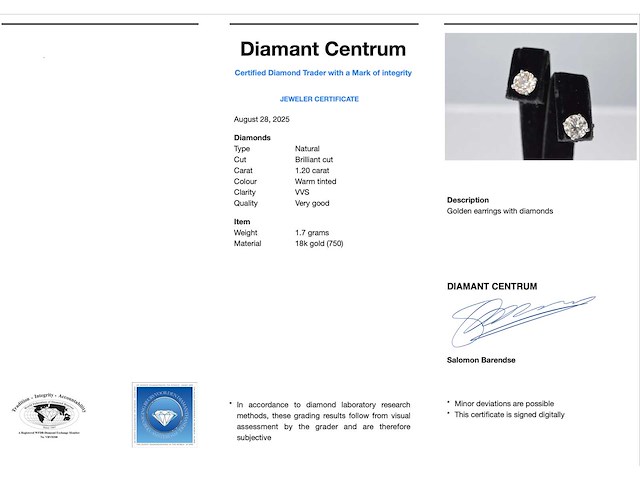 Witgouden diamanten oorbellen van 1.20 carat - afbeelding 3 van  6