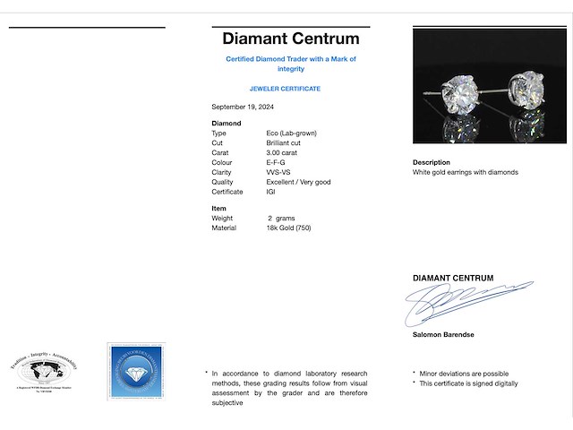 Witgouden diamanten oorbellen van 3.00 carat - afbeelding 3 van  8