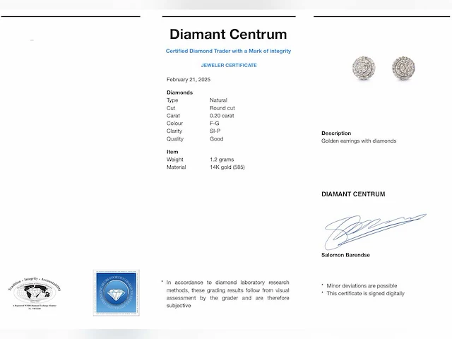 Witgouden entourage oorbellen diamant 0.20 ct - afbeelding 2 van  10
