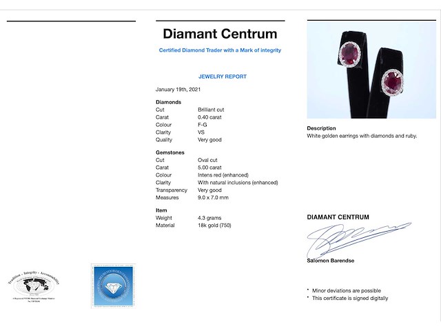 Witgouden entourage oorbellen diamanten en robijn - afbeelding 3 van  6