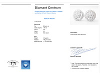 Witgouden entourage oorbellen met 60 briljant geslepen diamanten - afbeelding 3 van  9