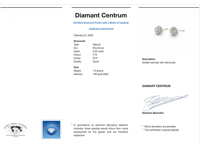 Witgouden entourage oorbellen met diamant - afbeelding 3 van  7
