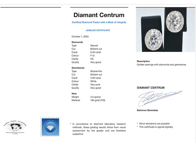 Witgouden entourage oorbellen met diamanten en een gemaakte ovale briljant - afbeelding 4 van  10