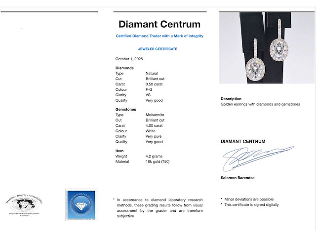 Witgouden entourage oorbellen met diamanten en een gemaakte ovale briljant - afbeelding 3 van  8