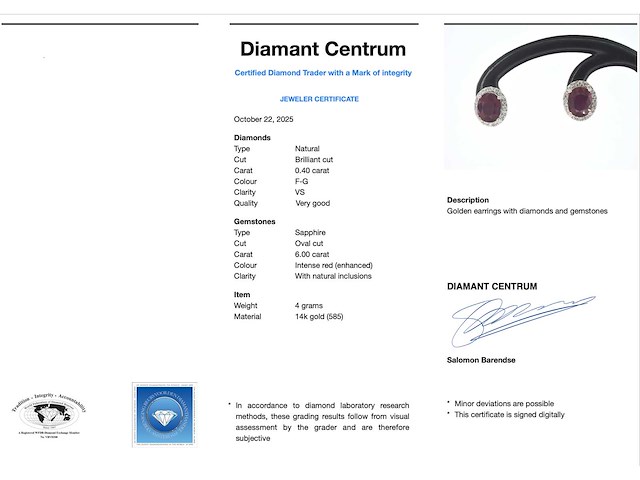 Witgouden entourage oorbellen met diamanten en robijn - afbeelding 3 van  9