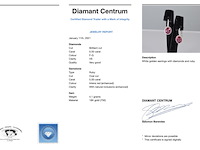 Witgouden entourage oorbellen met diamanten en robijn - afbeelding 7 van  8