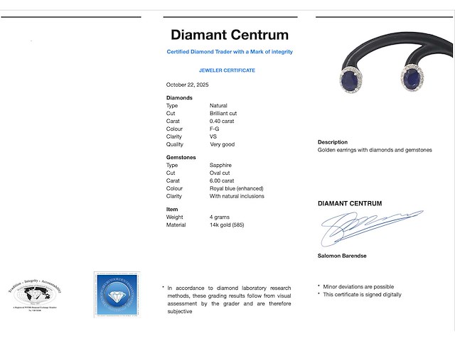 Witgouden entourage oorbellen met diamanten en saffier - afbeelding 3 van  9