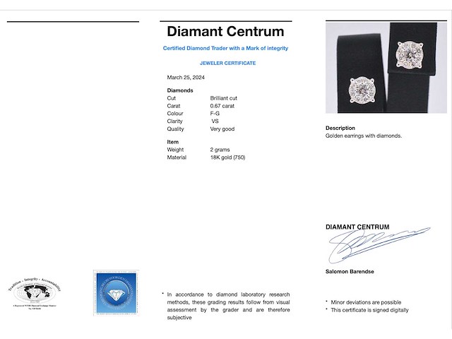 Witgouden entourage oorbellen met diamanten - afbeelding 8 van  10