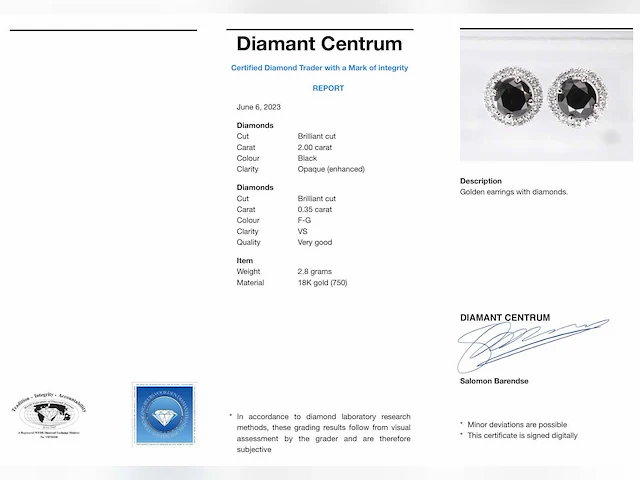 Witgouden entourage oorbellen zwarte diamant - afbeelding 2 van  10