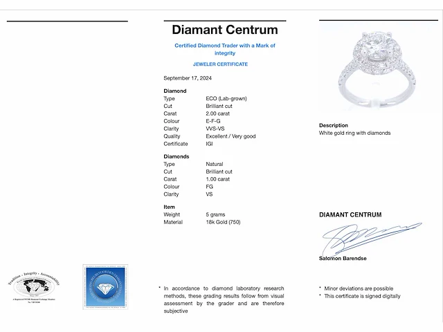 Witgouden entourage ring briljant 2.00 ct - afbeelding 4 van  10