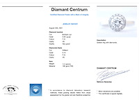 Witgouden entourage ring met diamanten en centraal een 0.50 carat diamant - afbeelding 3 van  5