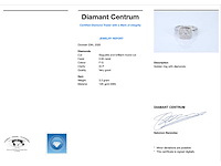 Witgouden entourage ring met diamanten - afbeelding 2 van  2