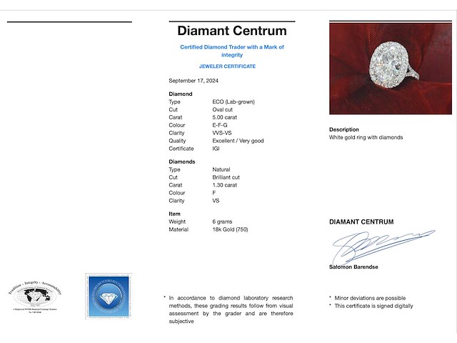 Witgouden entourage ring ovaal diamant 5.00 carat - afbeelding 3 van  9