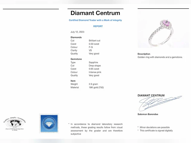 Witgouden entourage ring saffier 0.50 ct - afbeelding 9 van  9