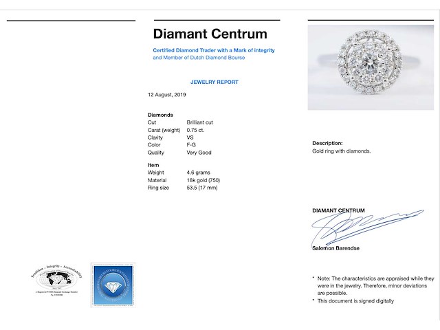 Witgouden entourage ring volledig bezet met diamanten - afbeelding 4 van  10