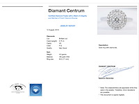 Witgouden entourage ring volledig bezet met diamanten - afbeelding 4 van  10