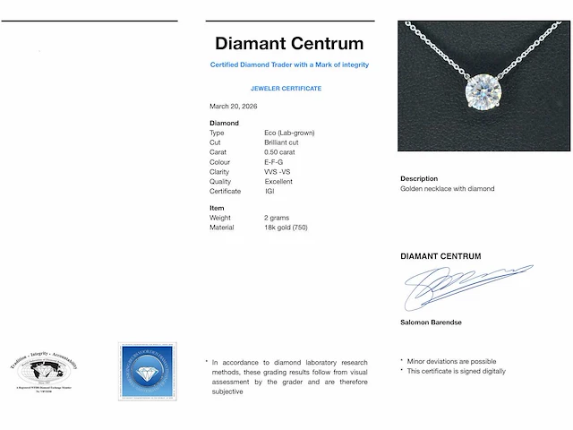 Witgouden halsketting briljant 0.50 ct - afbeelding 2 van  10