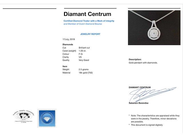 Witgouden hanger bezet met diamanten - afbeelding 3 van  6