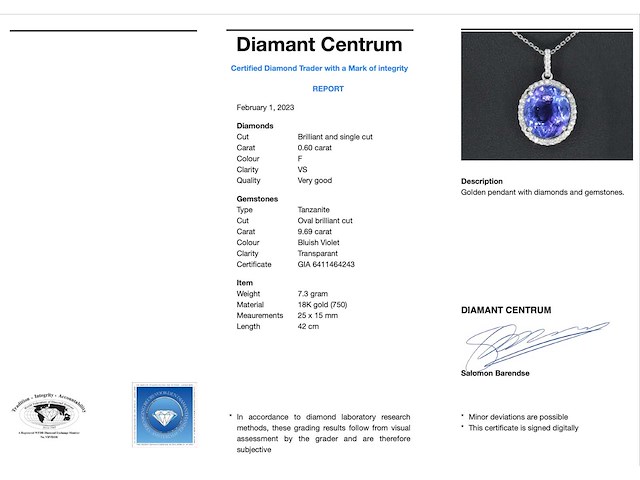 Witgouden hanger met diamanten en tanzaniet - afbeelding 6 van  12
