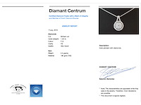 Witgouden hanger volledig bezet met diamanten - afbeelding 3 van  6