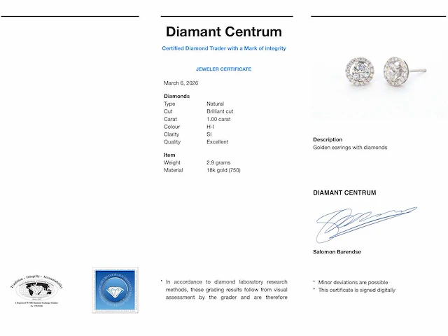 Witgouden oorbellen briljant 1.00 ct - afbeelding 7 van  9