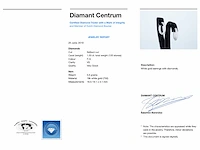 Witgouden oorbellen briljant diamant - afbeelding 3 van  9