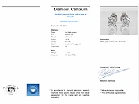 Witgouden oorbellen diamant 0.60 ct - afbeelding 3 van  5