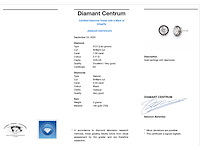 Witgouden oorbellen diamant 1.00 carat met zwarte diamanten - afbeelding 3 van  8