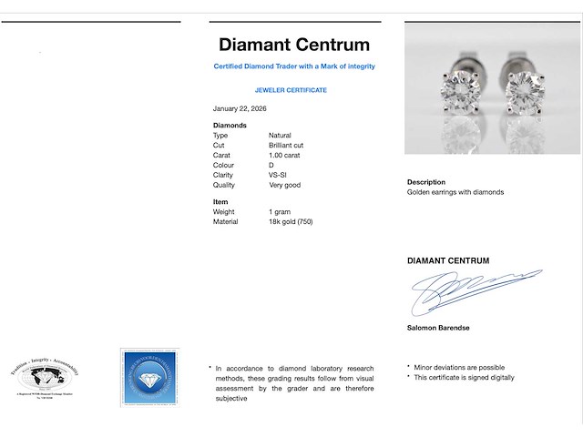 Witgouden oorbellen diamant 1.00 ct - afbeelding 5 van  5