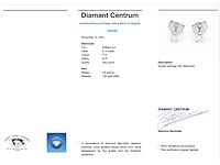 Witgouden oorbellen diamant - afbeelding 3 van  5