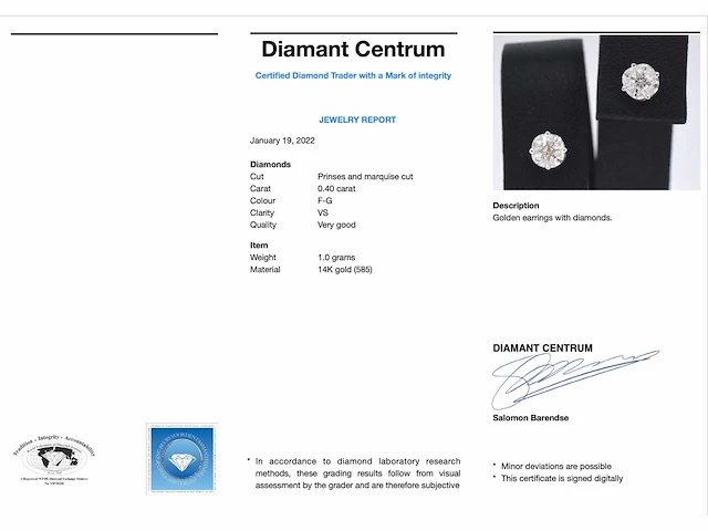 Witgouden oorbellen diamant - afbeelding 4 van  10