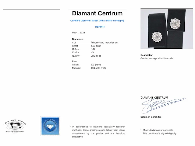 Witgouden oorbellen diamant - afbeelding 6 van  9