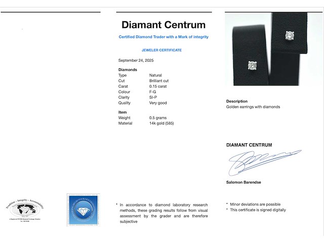 Witgouden oorbellen met diamant - afbeelding 3 van  8