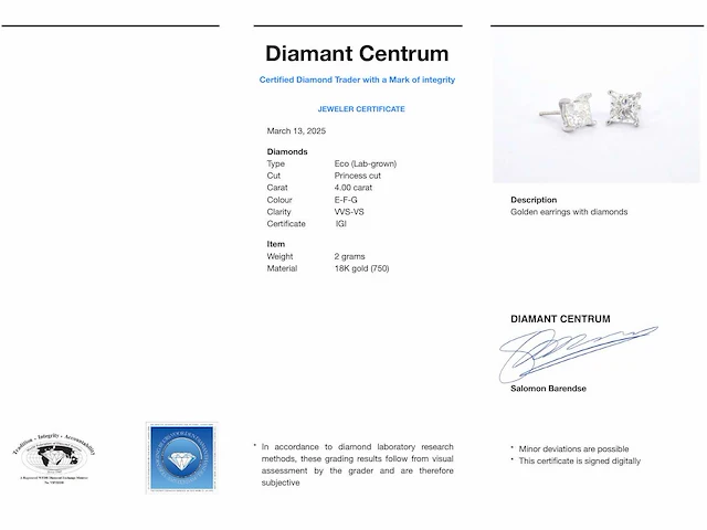 Witgouden oorbellen prinses diamant 4.00 ct - afbeelding 8 van  8