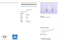 Witgouden oorhanger vol met diamanten - afbeelding 3 van  8
