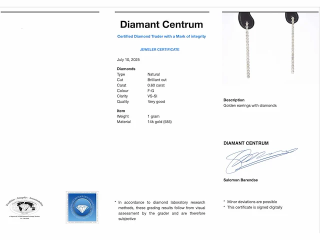 Witgouden oorhangers rij diamant - afbeelding 3 van  8